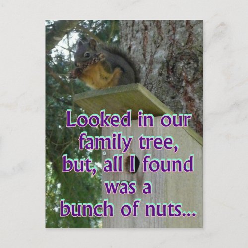 bunch of nuts postcard