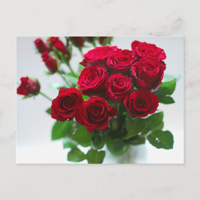 bunch of red roses postcard (Front)