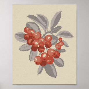 Bunch of ripe red aronia berries poster