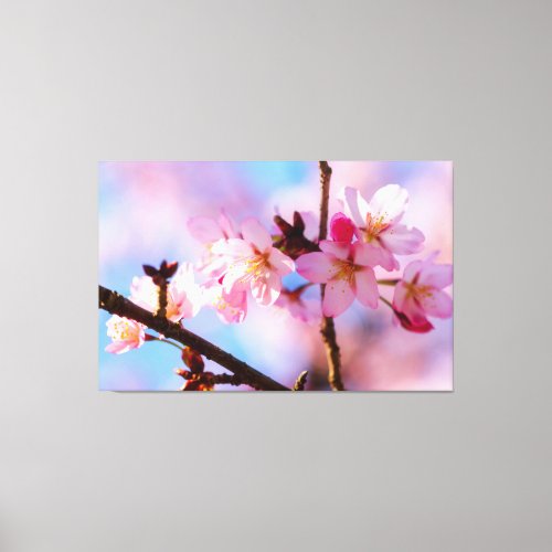 Bunch Of Sakura Flowers In A Shadow Of A Tree Canvas Print