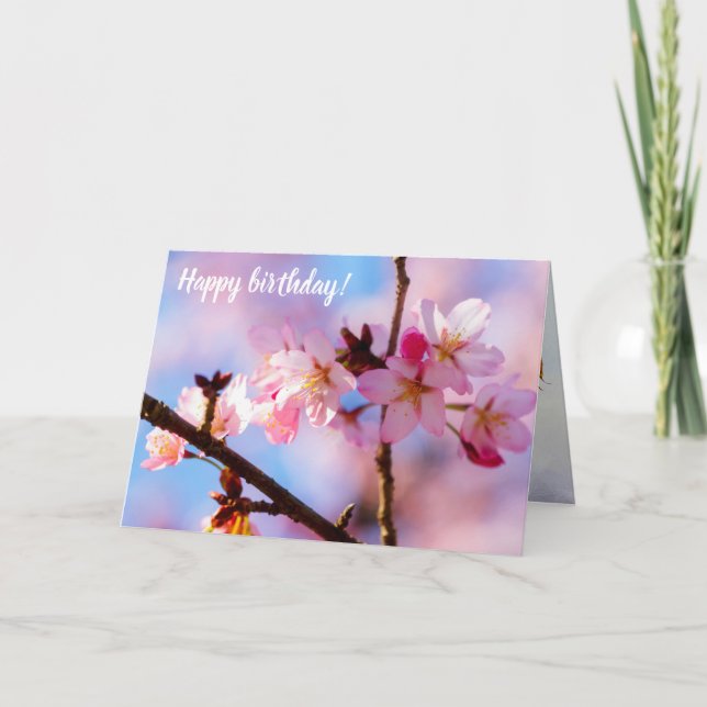 Bunch Of Sakura Flowers In A Shadow Of A Tree Card (Front)