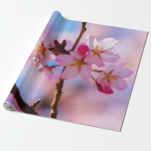 Bunch Of Sakura Flowers In A Shadow Of A Tree Wrapping Paper