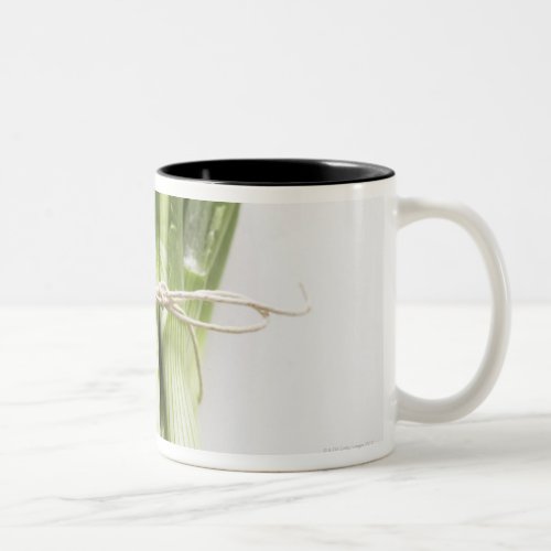 Bunch of spring onions on white chopping board Two_Tone coffee mug