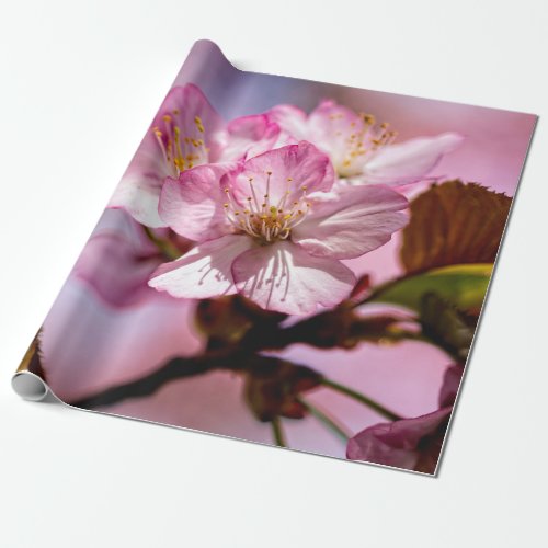 Bunch Of Stunning Sakura Flowers Of Pink Colors Wrapping Paper