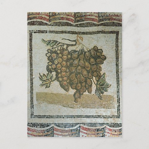 Bunch of white grapes Roman mosaic Postcard