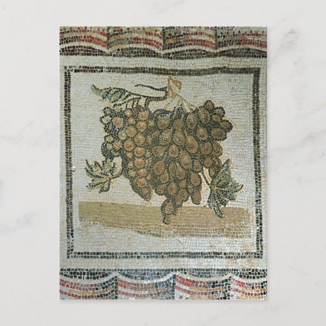 Bunch of white grapes, Roman mosaic Postcard (Front)