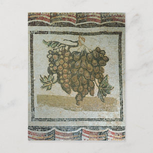 Bunch of white grapes, Roman mosaic Postcard