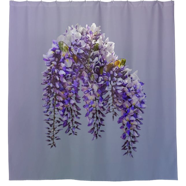 Bunch of Wisteria Shower Curtain (Front)