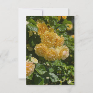 Bunch of Yellow Garden Roses Note Card