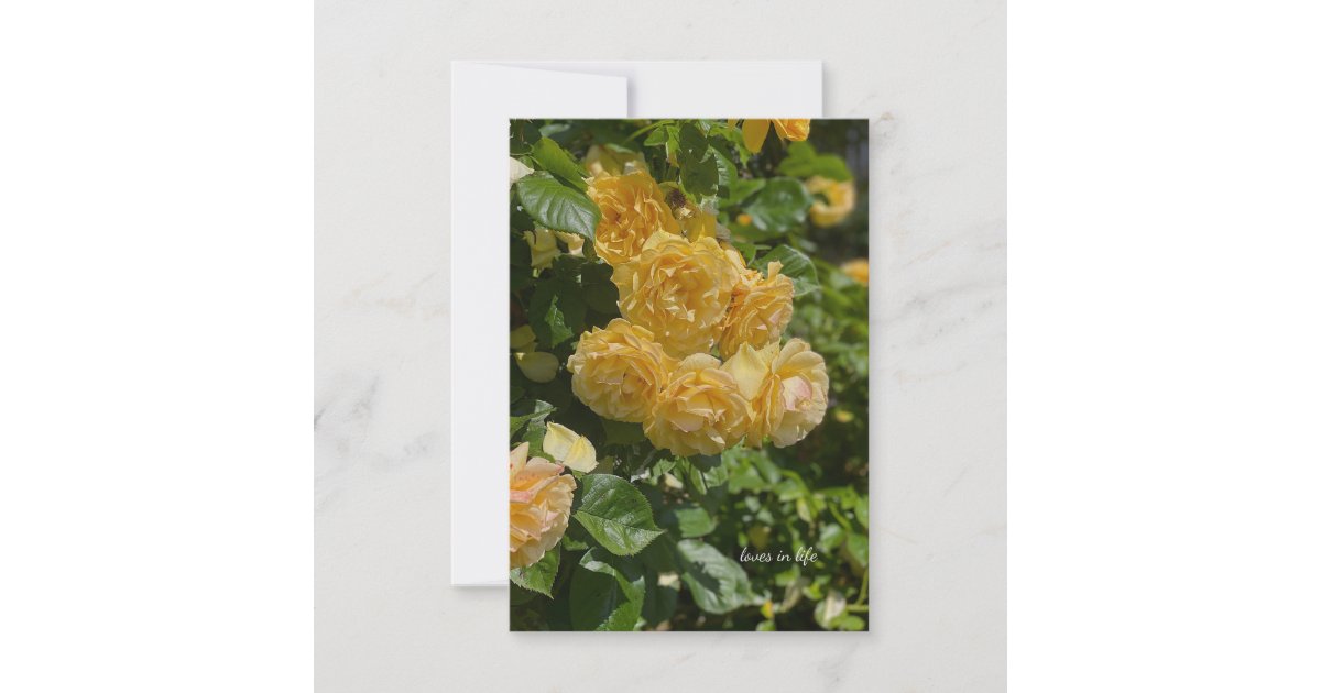 Bunch of Yellow Garden Roses Note Card | Zazzle