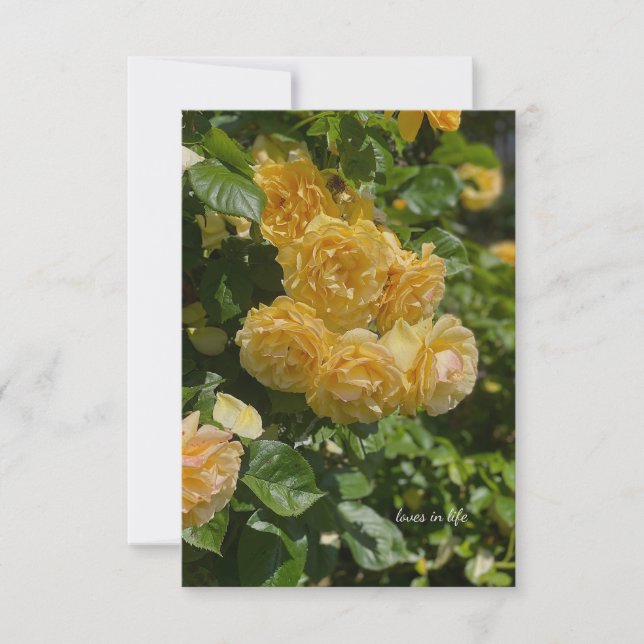 Bunch of Yellow Garden Roses Note Card (Front)