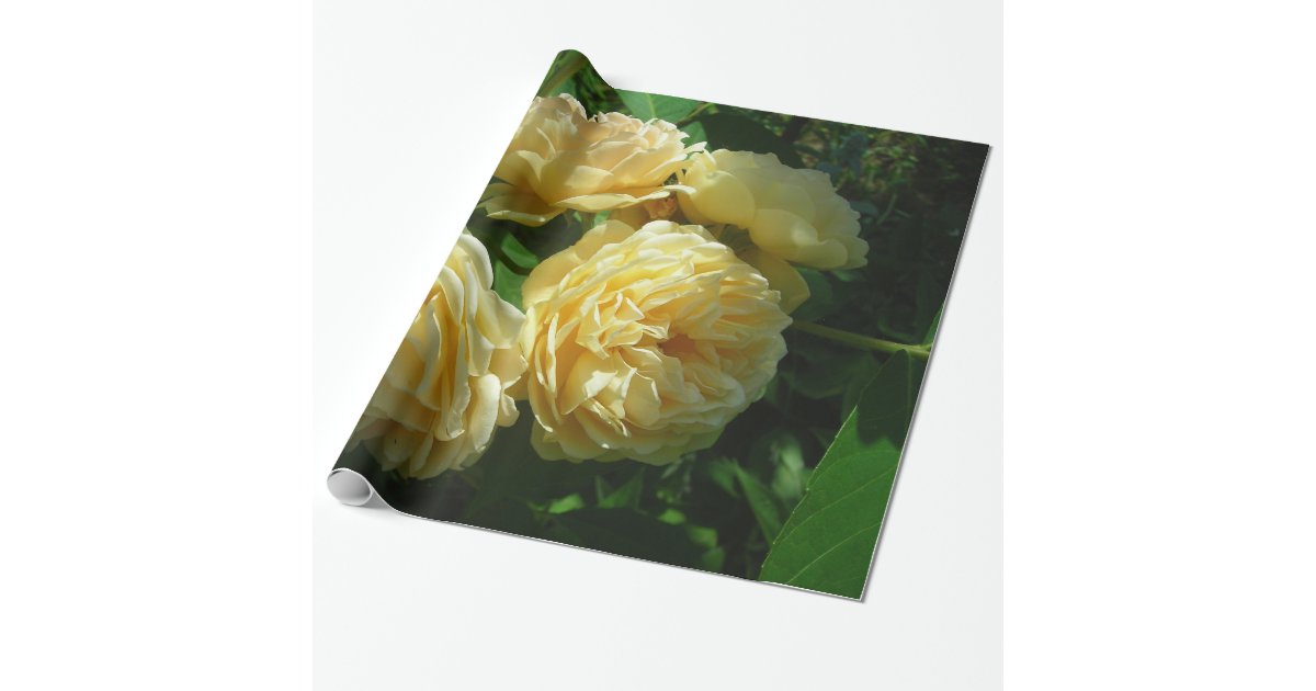 Black Flower Wrapping Paper 2 dozen Yellow Roses