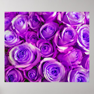 Bunch Roses background Valentine's Day Symbol of l Poster