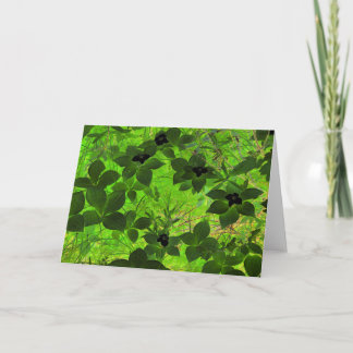 "Bunchberries" Digitally Edited Photo Green Plants Card