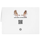 Bunchberry (Back Horizontal)