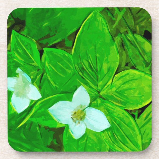 Bunchberry White Wildflower Abstract Drink Coaster (Front)