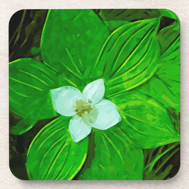 Bunchberry White Wildflower Beverage Coaster (Front)