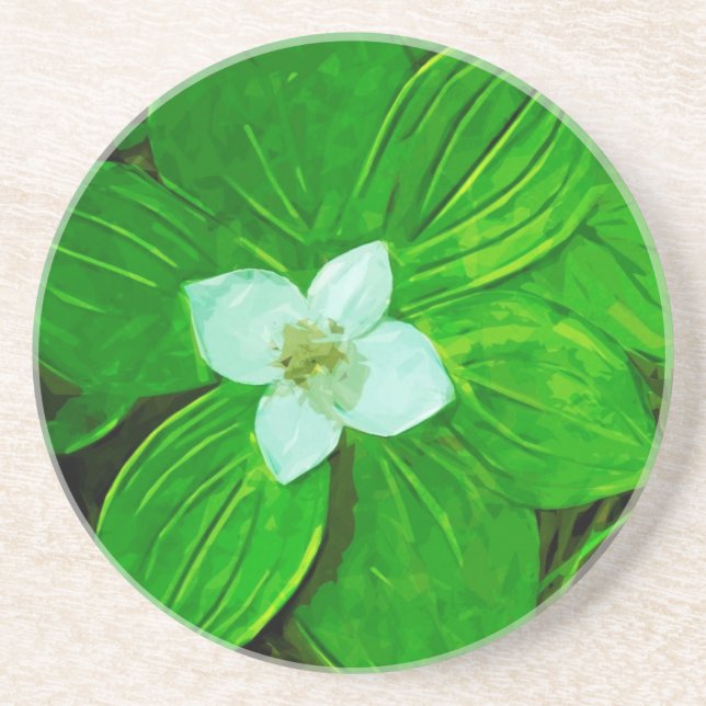 Bunchberry White Wildflower Sandstone Coaster (Front)