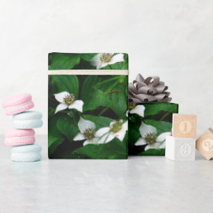 Bunchberry Wildflower Design Wrapping Paper
