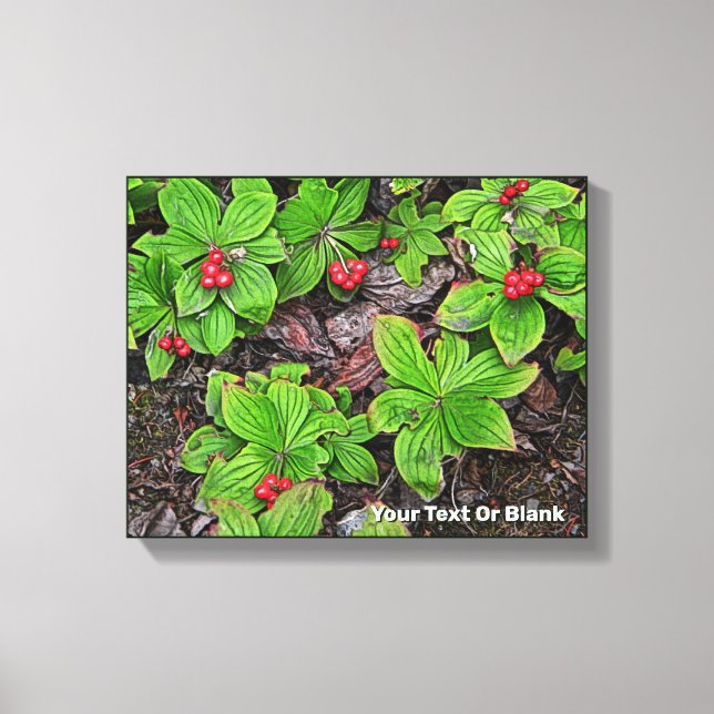 Bunchberry With Berries Canvas Print (Front)