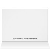 Bunchberry With Berries Cards (Inside Horizontal (Top))