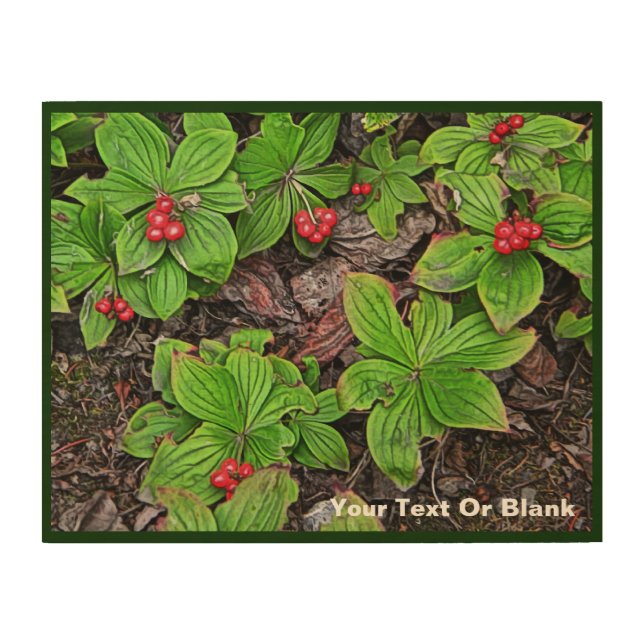 Bunchberry With Berries Wood Wall Art (Front)