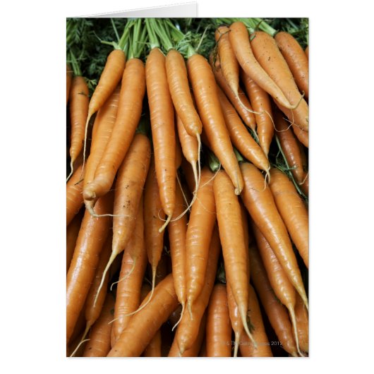 Bunches of carrots, full frame cards (Front)