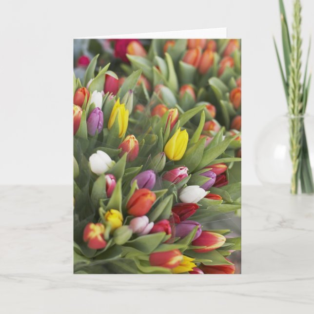 Bunches of colorful tulips card (Front)