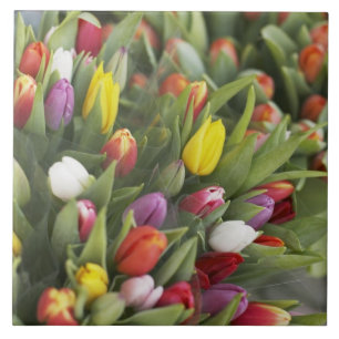 Bunches of colorful tulips ceramic tile