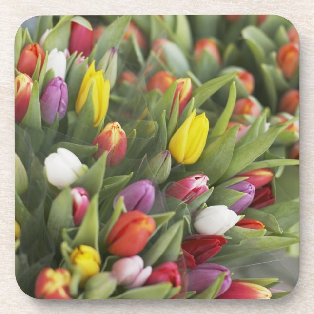 Bunches of colorful tulips drink coaster (Front)