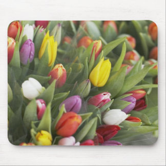 Bunches of colorful tulips mouse pad