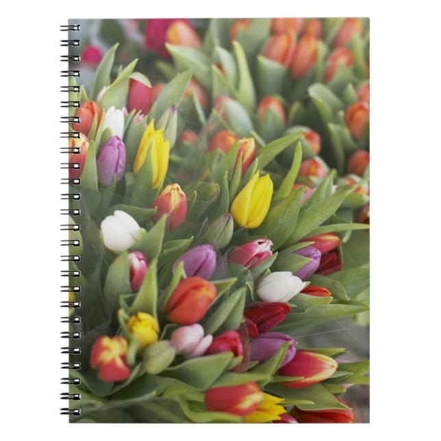 Bunches of colorful tulips notebook (Front)