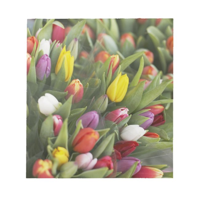 Bunches of colorful tulips notepad (Front)