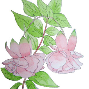 bunches of pretty pink flowers and leafs floral placemat