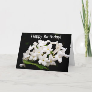 Bunches of white flowers card