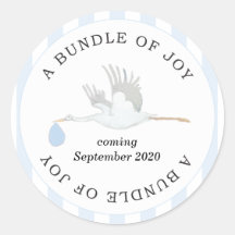 Bundle of Joy Baby Boy Stickers