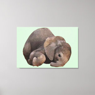 Bundle of Joy Canvas Art