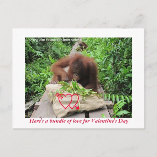 Bundle of Love for Valentines Day Holiday Postcard