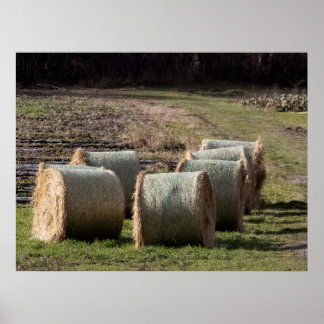 Bundled Poster