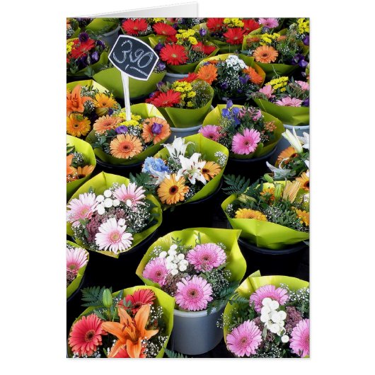 Bundles of Joy Cards (Front)