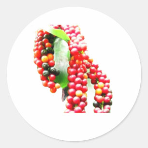 Buni Berry - Rare Indonesian Wild Berry Fruit Stic Classic Round Sticker