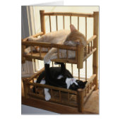 Bunk Bed Brothers (Front)