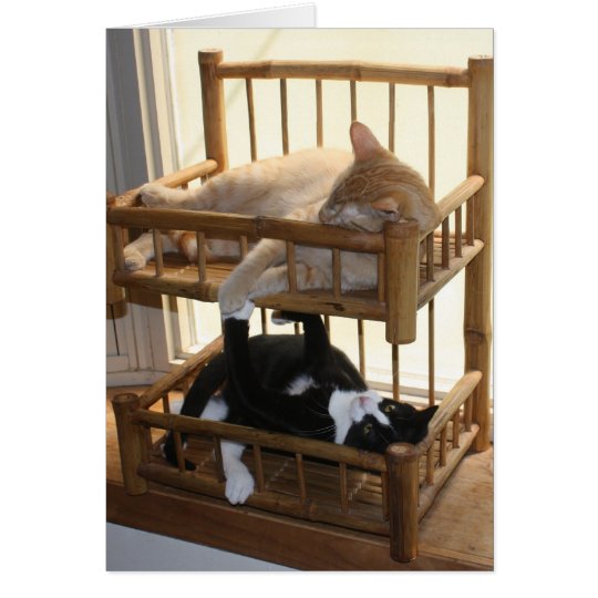 Bunk Bed Brothers Card