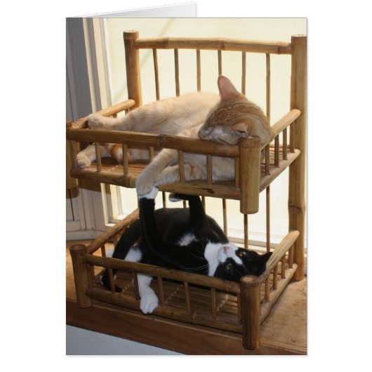 Bunk Bed Brothers Cards (Front)
