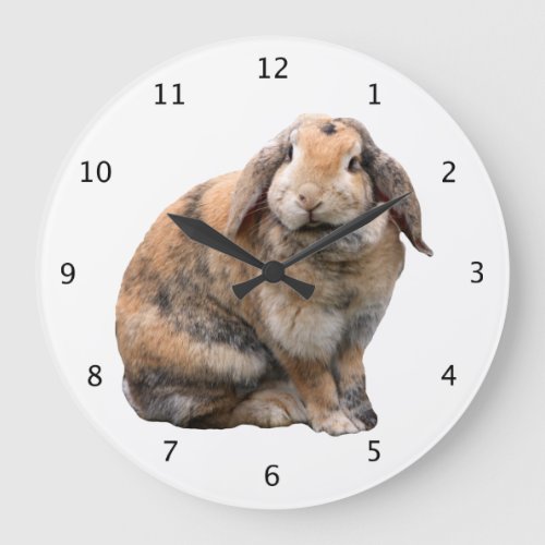 Bunnie rabbit lop_eared beautiful photo portrait large clock