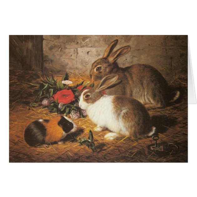 Bunnies And Guinea Pig Card | Zazzle.com