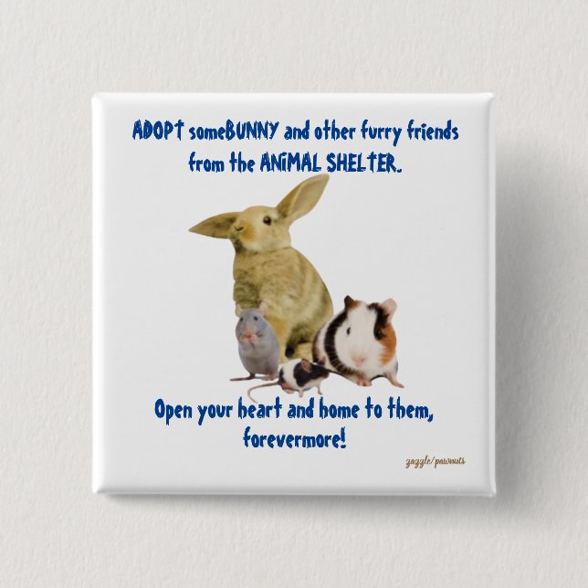 Bunnies and other furry friends need loving homes button (Front)