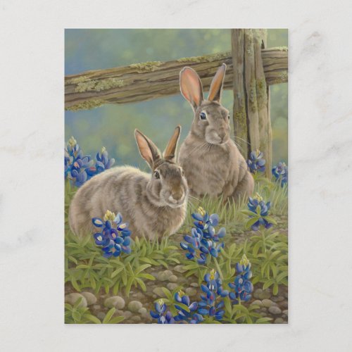 Bunnies  Bluebonnets Postcard