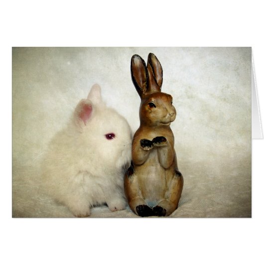Bunnies Cards (Front Horizontal)
