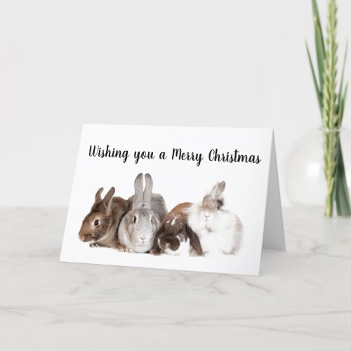 BUNNIES GOT TOGETHER TO SAY MERRY CHRISTMAS HOLIDAY CARD